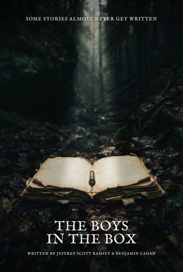 One sheet for The Boys in the Box: a single open book lying on a dark forest floor under a shaft of light, in a minimal photographic style